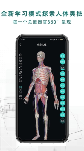 掌上3D解剖安卓版截图4