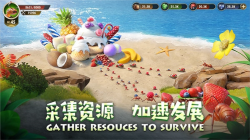 小小蚁国国际服最新版截图1