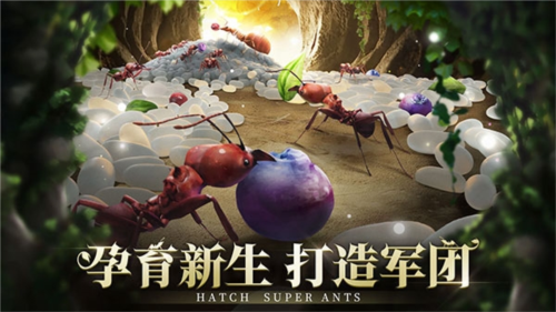 小小蚁国国际服最新版截图2