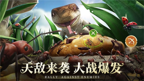 小小蚁国国际服最新版截图5