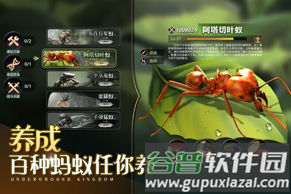 小小蚁国腾讯版截图4