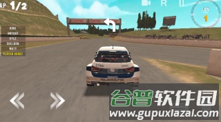 拉力之星截图2