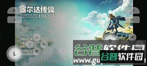 Switch模拟器中文版截图2