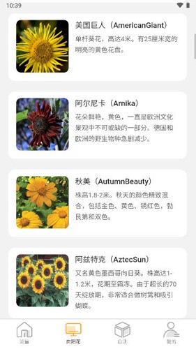 向阳流量app截图1