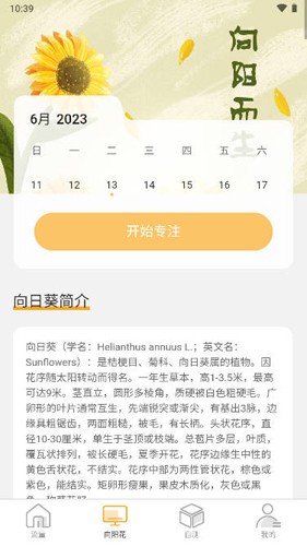 向阳流量app截图2