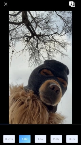 趣味全能美颜自拍相机手机版(改名悟空遥控器纯净版)截图1