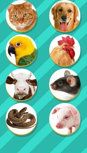 宠物对话翻译器中文版截图2