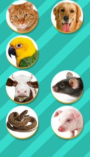 宠物对话翻译器中文版截图3