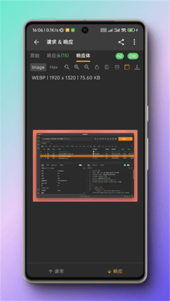 蓝鸟抓包软件截图3