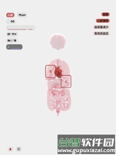 生命life安卓版截图7