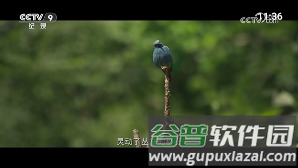 超的电视TV免费版截图1