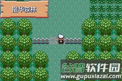 口袋妖怪火红802内置修改器截图2