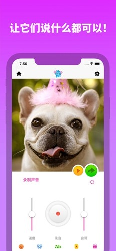 我的宠物会说话app安卓版截图2