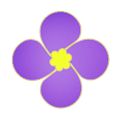 紫金草手机版客户端v4.4.2