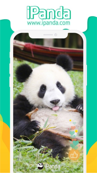 iPanda熊猫频道app截图1