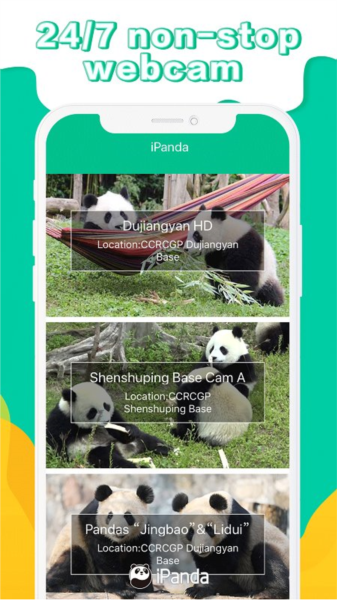 iPanda熊猫频道app截图2