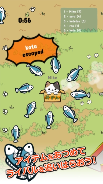 公园里的野猫截图3