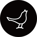 libratone appv8.2.3