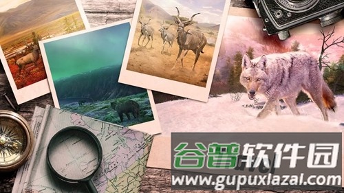狩猎冲突一击必杀版截图2