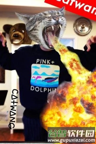 catwang美图app截图2