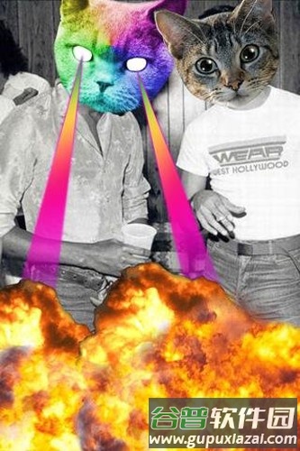 catwang美图app截图3