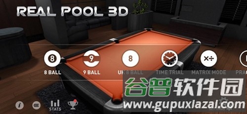 Real Pool 3D联机版截图1