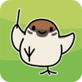 鸟之音无限羽毛版v1.12.0