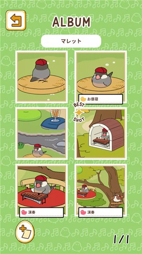 鸟之音无限羽毛版截图3