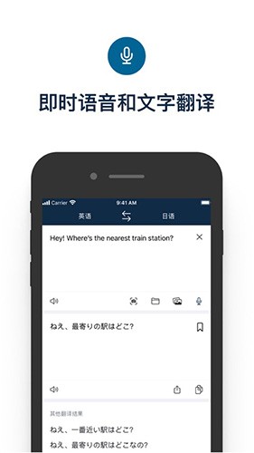 deepl翻译器2024版截图4