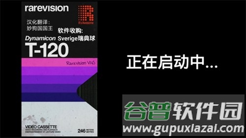 RarevisionVHS软件安卓版截图1