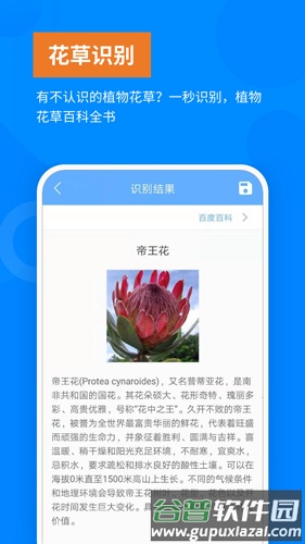洋果扫描王app截图4