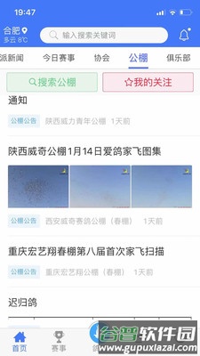 鸽派app截图1
