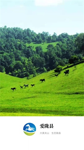 爱陇县手机版截图1