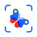 昆虫识别图鉴扫一扫appv2.8.33