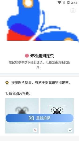 昆虫识别图鉴扫一扫app截图1