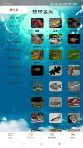 悠然鱼语安卓版截图2