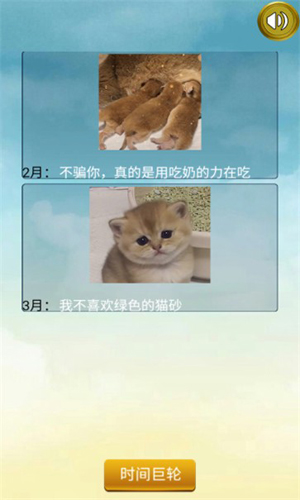 猫的一生重启模拟器截图1