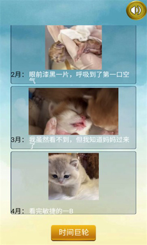 猫的一生重启模拟器截图2