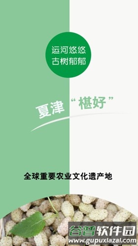 爱夏津手机版截图1