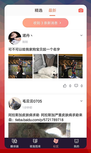 猫语翻译器app截图4