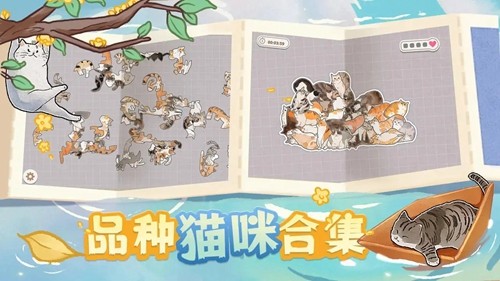 挤在一起的猫猫去广告版截图3