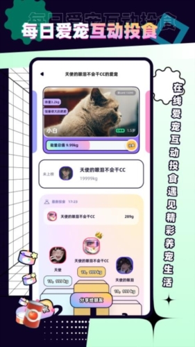 PetPet陪陪安卓版截图4