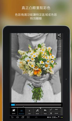 Pixlr照片处理软件截图2