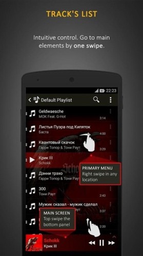 蜥蜴音乐播放器全中文版截图2