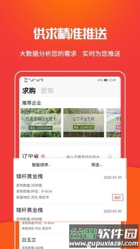 苗木网app截图2