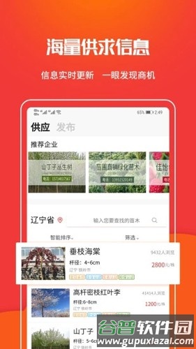 苗木网app截图3