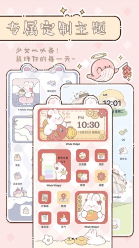 鲸鱼小组件-手机桌面主题美化截图2