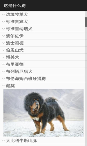 这是什么狗app截图2