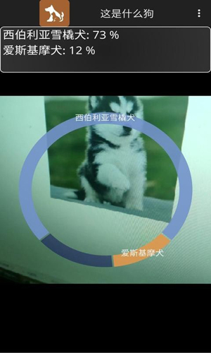 这是什么狗app截图5
