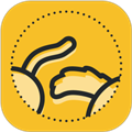 噜宠appv1.6.240319